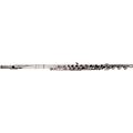 Pearl Flutes Quantz 765 Series Professional Flute 765RBE1RB - B Foot, Offset G with Split E765RB1RB - B Foot , Inline G