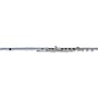 Pearl Flutes Quantz 765 Series Professional Flute 765RBE1RB - B Foot, Offset G with Split E