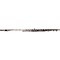 Quantz 765 Series Professional Flute Level 2 765RB1RB - B Foot , Inline G 888365781099