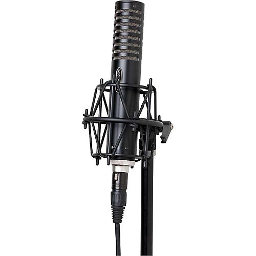 R-101 Ribbon Mic