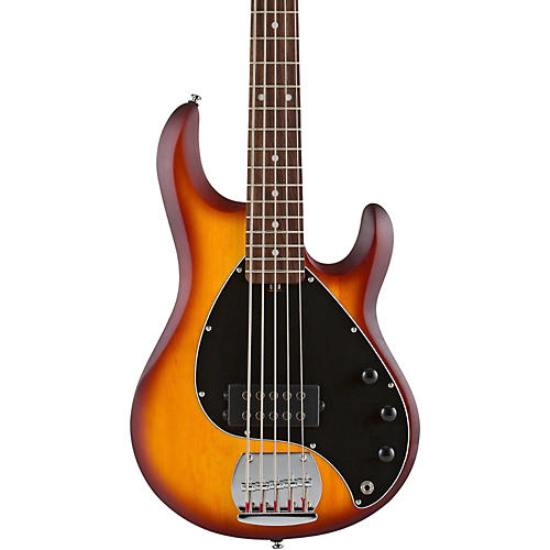 RAY5 5-String Electric Bass Guitar