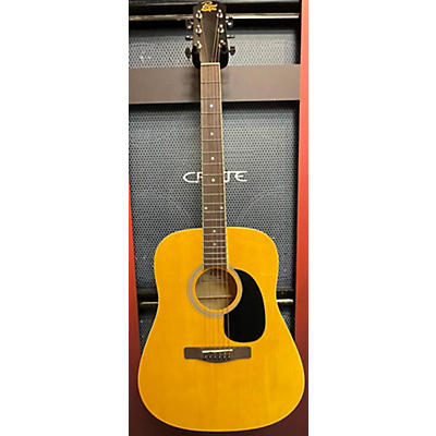 Rogue RD80 Acoustic Guitar