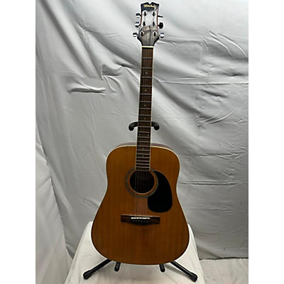 Rogue RG-624 Acoustic Guitar