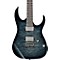 RG6005 Quilted Maple Electric Guitar Level 2 Transparent Gray Burst 190839084910