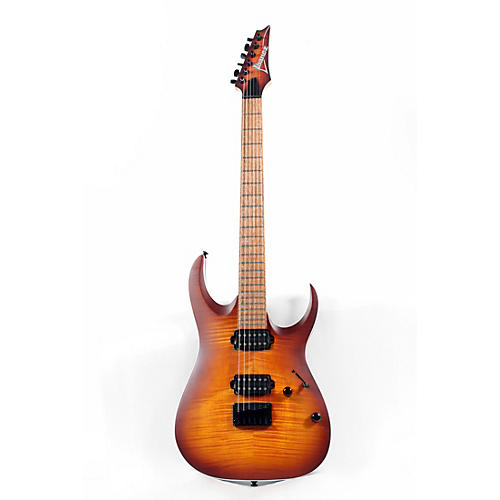 Ibanez RGA series RGA42FM Electric Guitar Condition 3 - Scratch and Dent Flat Dragon Eye Burst 197881211271