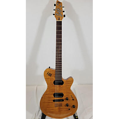 Godin RGX Solid Body Electric Guitar