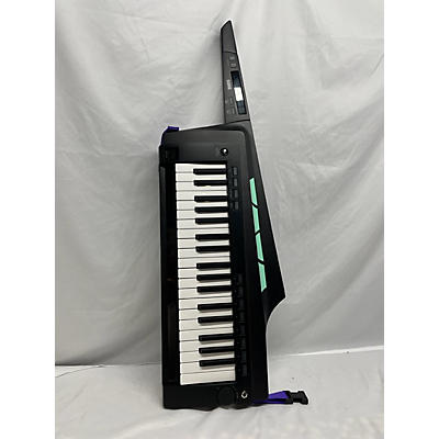 KORG RK100S Portable Keyboard