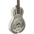 Recording King RM-993 Metal Body Parlor Resonator Guitar Distressed Vintage GreenNickel-Plated