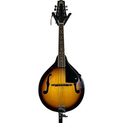 Rogue RM100A A Style Mandolin