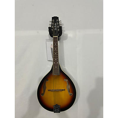 Glen Burton RM100A Mandolin