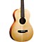 RP-A3M EZ Tone Single O Acoustic Guitar Level 1 Natural