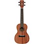 Alvarez RU22CP Concert Ukulele Pack - Natural