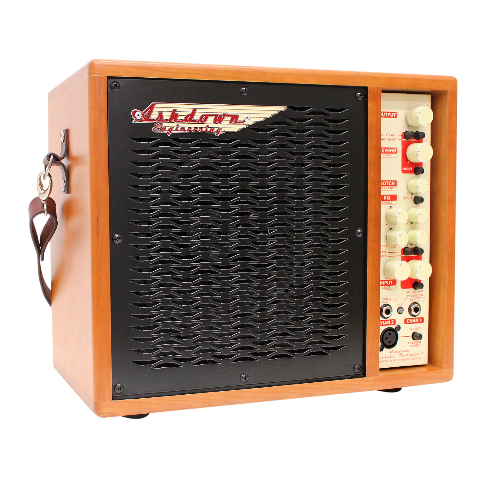 Ashdown Radiator 1 100W AcousticElectric Guitar Combo Amp Musician's Friend