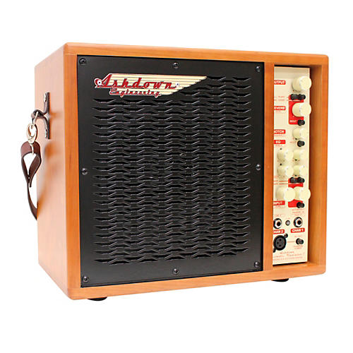Radiator 1 100W Acoustic-Electric Guitar Combo Amp