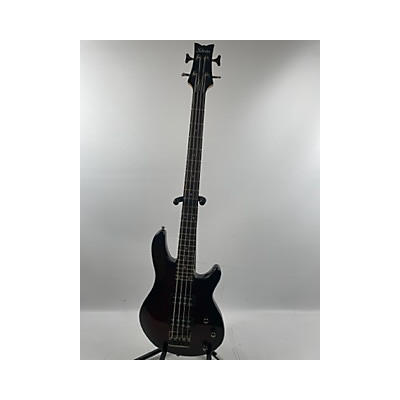 Schecter Guitar Research Raiden Special 4 String Electric Bass Guitar
