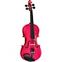 Bellafina Rainbow Series Rose Violin Outfit 4/4 Size