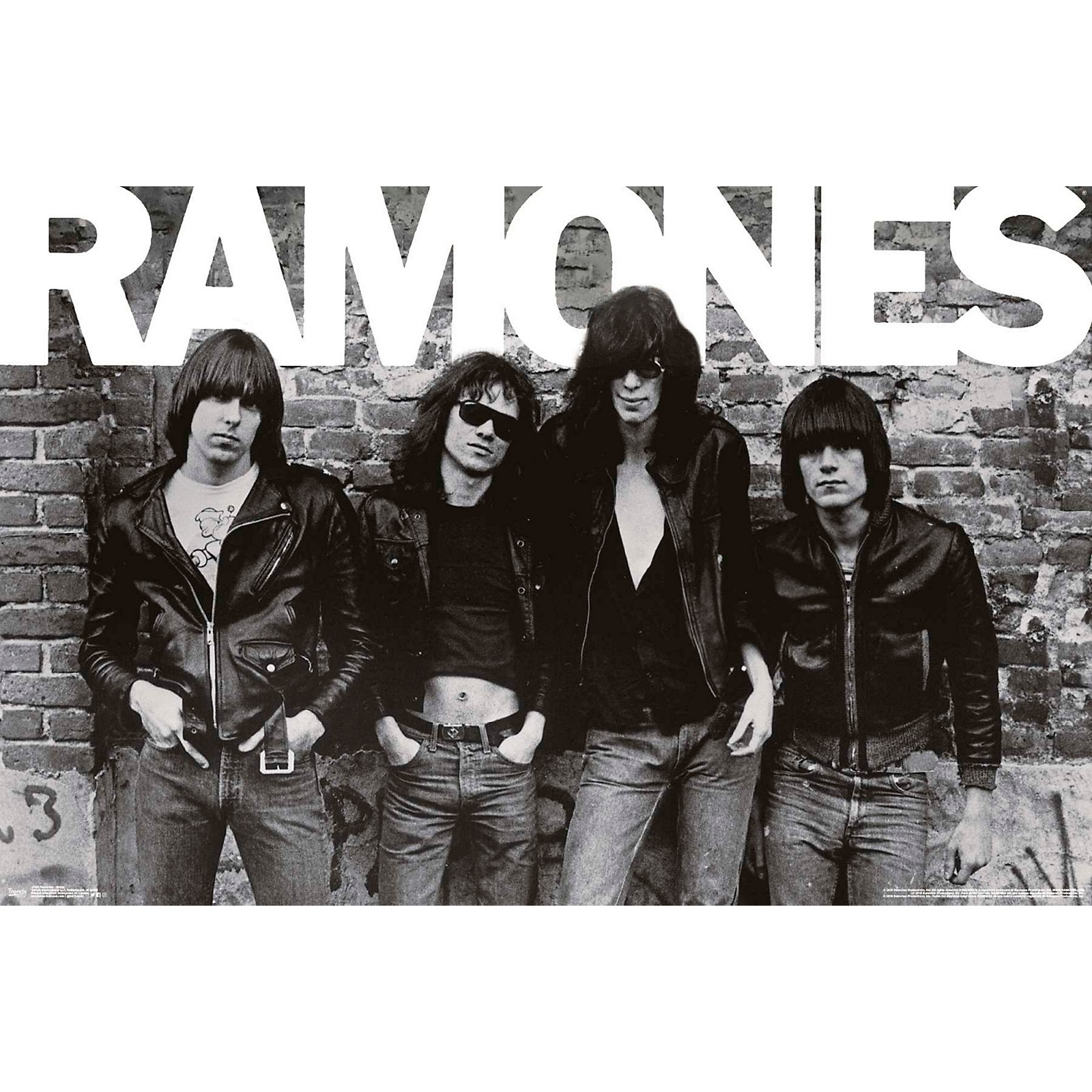 Trends International Ramones Group Poster Rolled Unframed | Musician's ...