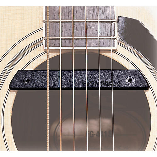 FISHMAN Soundhole Pickups Rare Earth Single Coil Pickup レア