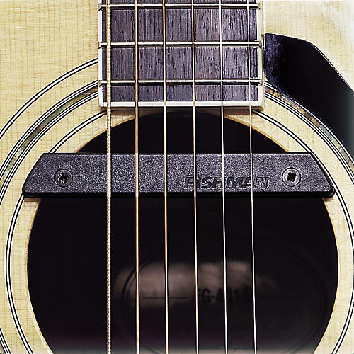 Rare Earth Single-Coil Soundhole Guitar Pickup