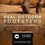 Best Service Real Outdoor Footsteps: EFI Expansion