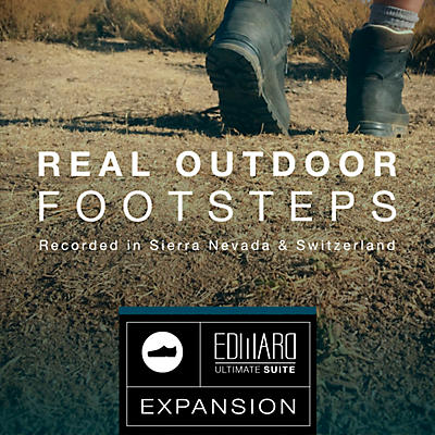 Best Service Real Outdoor Footsteps: EUS Expansion