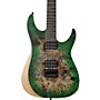 Schecter Guitar Research Reaper-6 6-String Electric Guitar Forest Burst