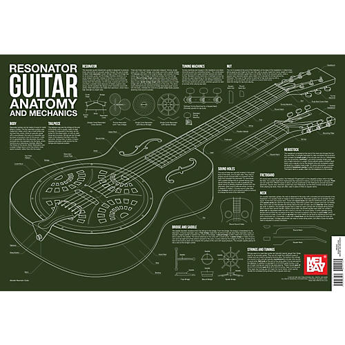 Resonator Guitar Anatomy and Mechanics Wall Chart