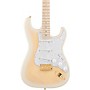 Fender Richie Kotzen Stratocaster Electric Guitar See-through White Burst