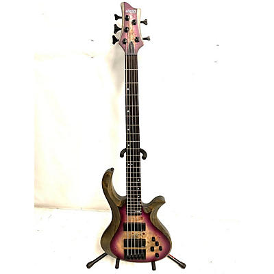 Schecter Guitar Research Riot-5 Electric Bass Guitar