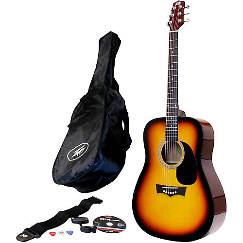 Peavey acoustic on sale guitar price