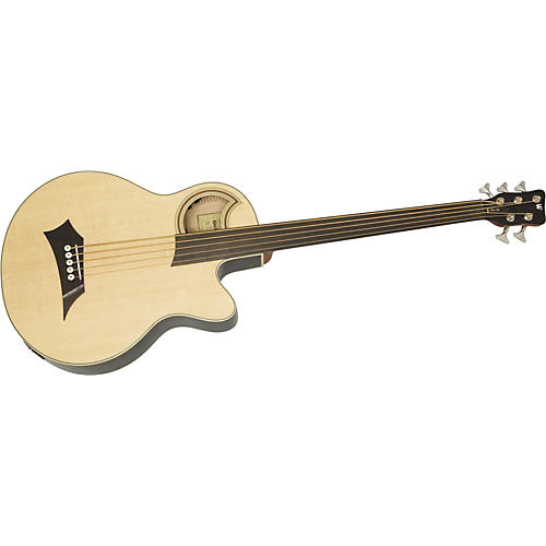 Rockbass Alien Standard 5-String Fretless Acoustic-Electric Bass