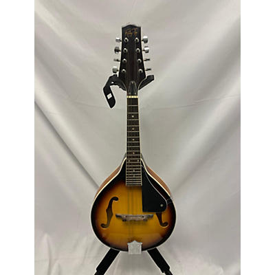 Morgan Monroe Rocky Top RT-m1 Mandolin