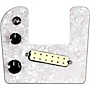 920d Custom Rogue Lap Steel Loaded Pickguard With Aged White Polyphonics Pickup White Pearl