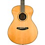 Breedlove Roots Rosewood Concert Acoustic-Electric Guitar - Natural