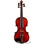 Eastman Rudoulf Doetsch VL7015 Series+ 5-String Violin with Case and Bow 4/4