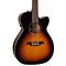 S12 Spruce Sunburst Cutaway Concert Hall QIT Acoustic-Electric Guitar Level 2 Sunburst 190839134226