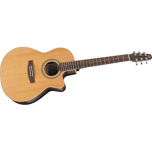 S6+ Folk Gloss Top Acoustic-Electric Guitar