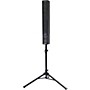 Fishman SA220 Solo Performance System & Acoustic Guitar Combo Amp Black