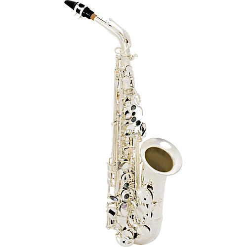 SAS280 La Voix II Alto Saxophone Outfit