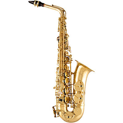 Selmer SAS711 Professional Alto Saxophone