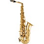 Selmer SAS711 Professional Alto Saxophone Lacquer