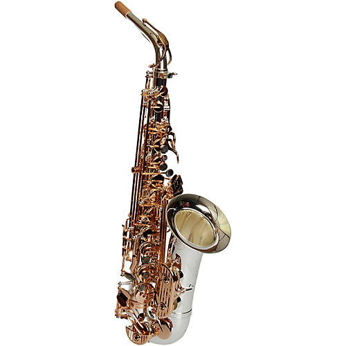 SDA-XG 404 Professional Alto Saxophone