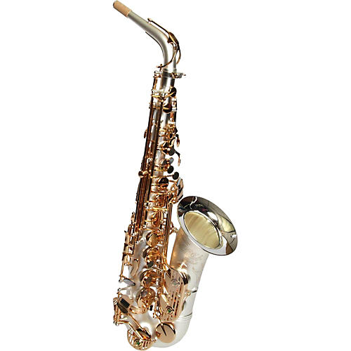 SDA-XL-110 Professional Alto Saxophone Gold Plated Keys