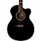 SE Angelus A10E Acoustic-Electric Guitar Level 2 Black 190839062208