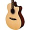 SE Angelus A20E Acoustic-Electric Guitar Level 2 Natural 888366003466