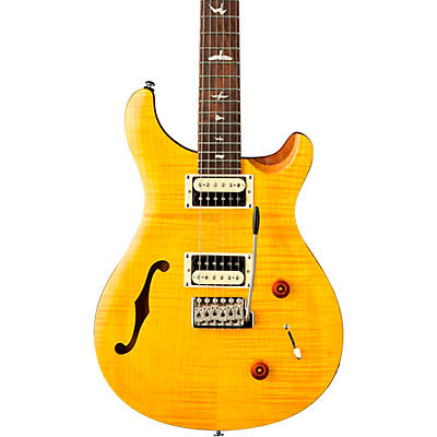 PRS SE Custom 22 Semi-Hollow Electric Guitar
