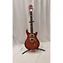 Used PRS SE Custom 24 Solid Body Electric Guitar ZEBRAWOOD