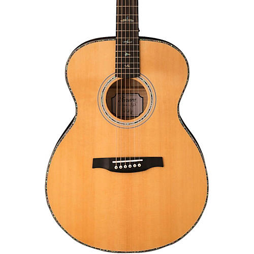 SE TE55 Acoustic-Electric Guitar