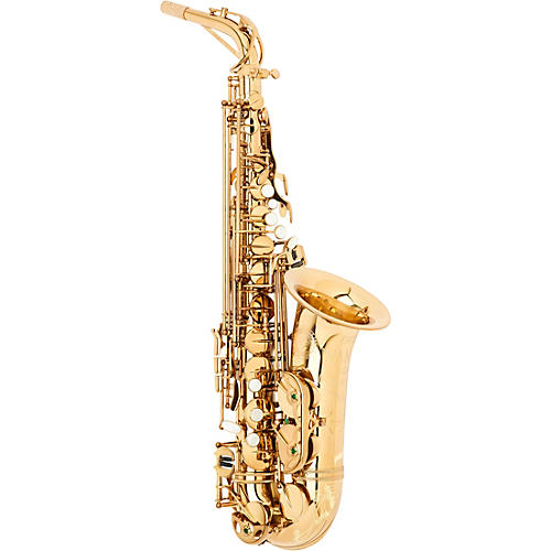 SHAKTI Professional Alto Saxophone