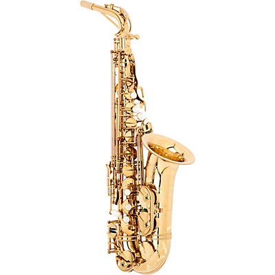 Theo Wanne SHAKTI Professional Alto Saxophone